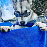 Entry image for Kiwi