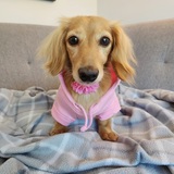 Entry image for Olive