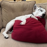 Entry image for Zach