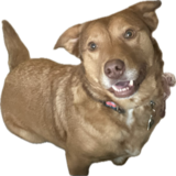 Entry image for Wally