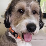 Entry image for Benson