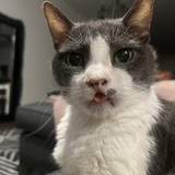 Entry image for Robert