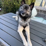 Entry image for Loki