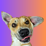 Entry image for Luke