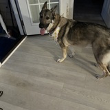 Entry image for Eva Byers