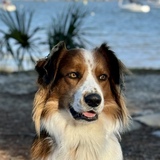 Entry image for Theo