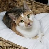 Entry image for Zoey