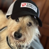 Entry image for Stinky Peete