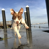 Entry image for Millie 