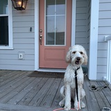 Entry image for Reese Witherspoon 