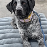 Entry image for Rip Tide