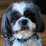 Entry image for Combo