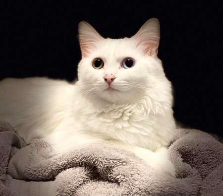 Entry image for Marie. Clicking this image will show a larger photo