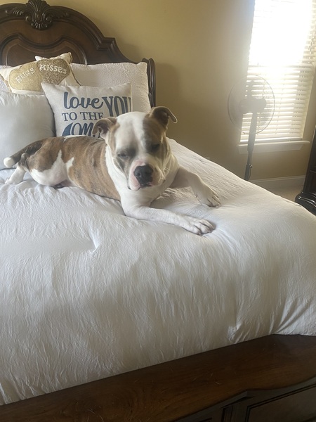 Entry image for Floyd . Clicking this image will show a larger photo