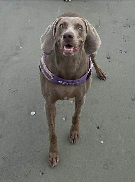 Entry image for Bits n Pieces. Clicking this image will show a larger photo