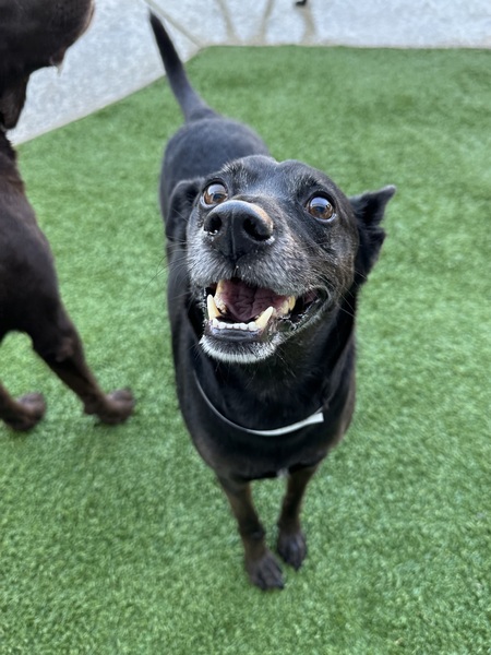 Entry image for Bryson. Clicking this image will show a larger photo