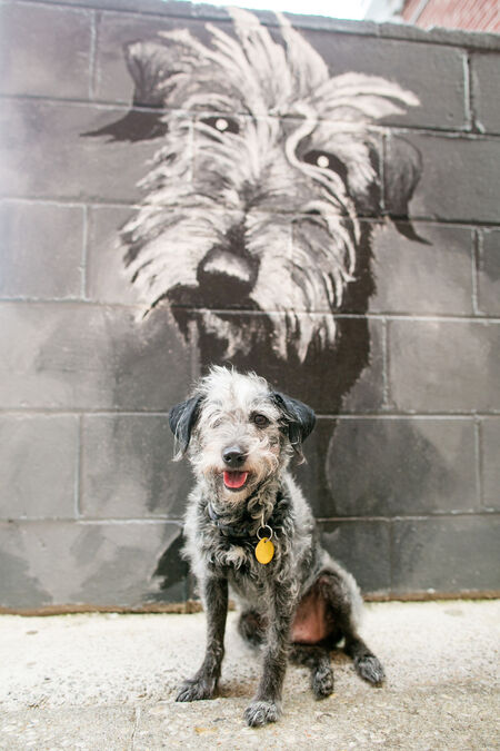 Entry image for Don . Clicking this image will show a larger photo