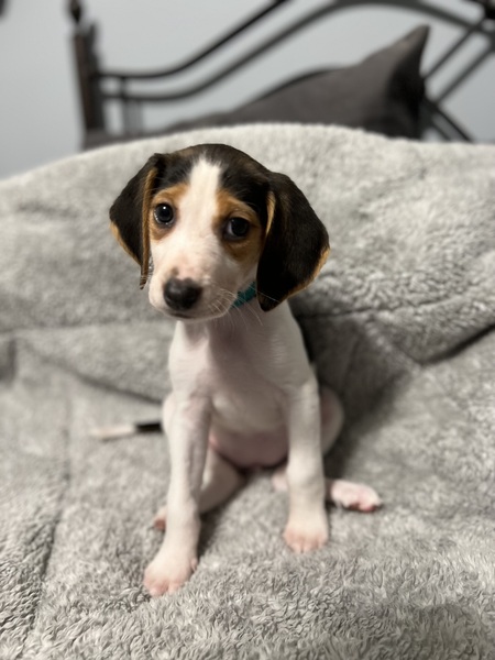 Entry image for Karma. Clicking this image will show a larger photo