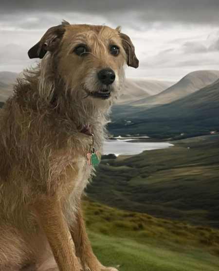 Entry image for Mona . Clicking this image will show a larger photo