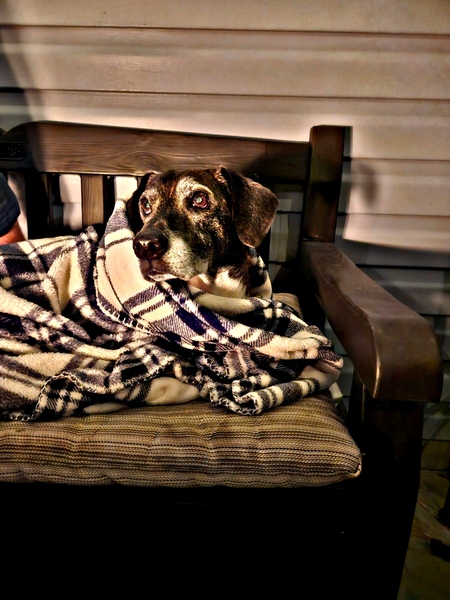 Entry image for LITTLE BOY. Clicking this image will show a larger photo