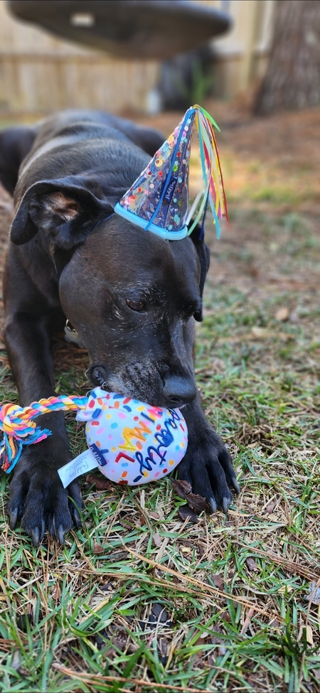 Entry image for Jd. Clicking this image will show a larger photo