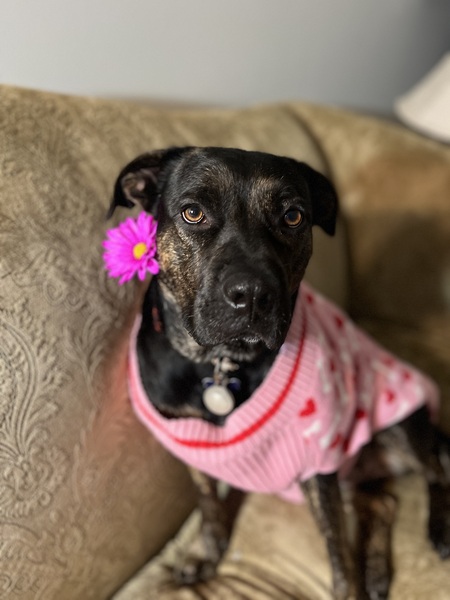 Entry image for Joanna . Clicking this image will show a larger photo