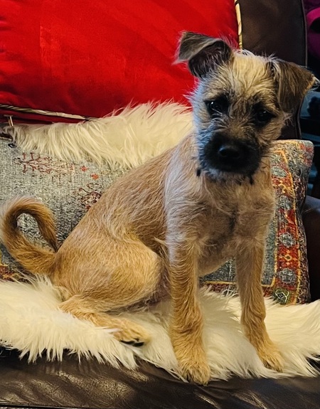 Entry image for Charlie. Clicking this image will show a larger photo