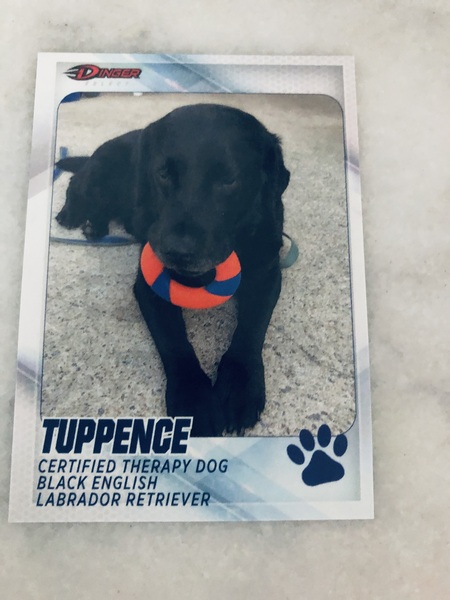 Entry image for Tuppence. Clicking this image will show a larger photo