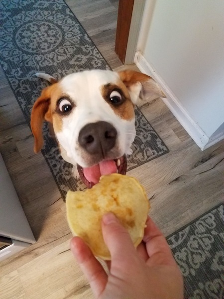 Entry image for Solomon. Clicking this image will show a larger photo