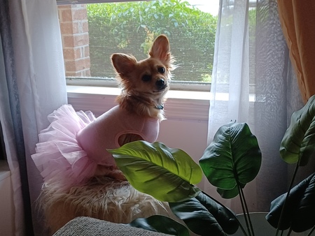 Entry image for Quiet. Clicking this image will show a larger photo