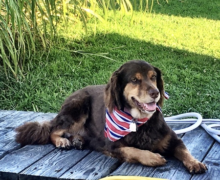 Entry image for Kate the Mate. Clicking this image will show a larger photo