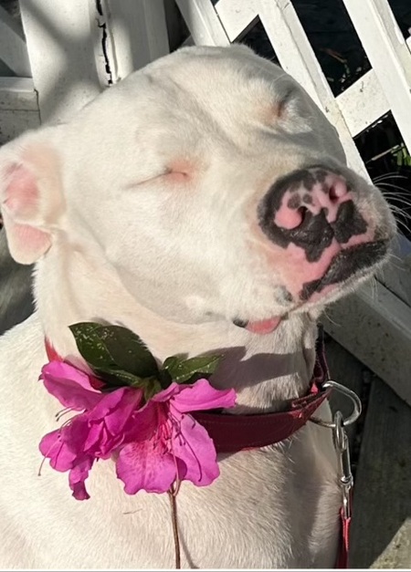 Entry image for Miss holly. Clicking this image will show a larger photo