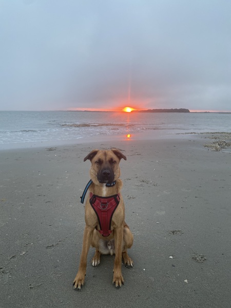 Entry image for Waylon. Clicking this image will show a larger photo