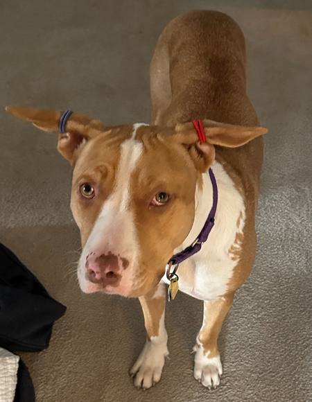 Entry image for Linda. Clicking this image will show a larger photo