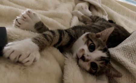 Entry image for Big Worm. Clicking this image will show a larger photo