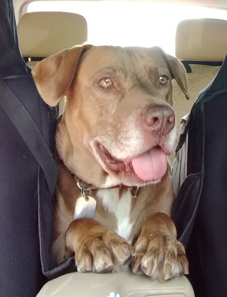 Entry image for Ruckus. Clicking this image will show a larger photo