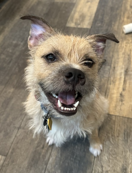 Entry image for Rodney. Clicking this image will show a larger photo