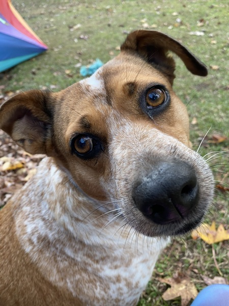 Entry image for Paige. Clicking this image will show a larger photo