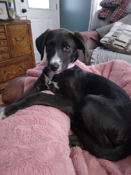 Entry image for Millie Kay. Clicking this image will show a larger photo