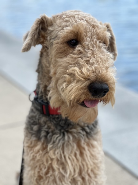 Entry image for Max. Clicking this image will show a larger photo