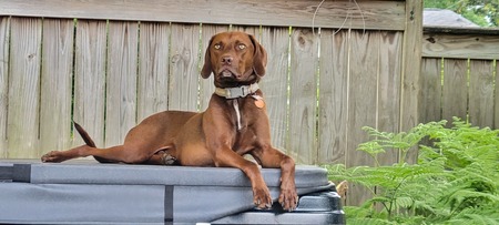 Entry image for Travis. Clicking this image will show a larger photo