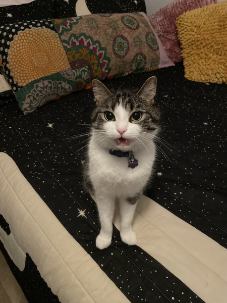 Entry image for Fleetwood. Clicking this image will show a larger photo