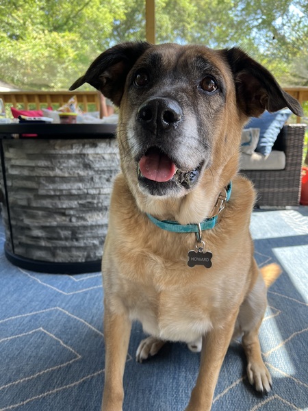 Entry image for Howard. Clicking this image will show a larger photo