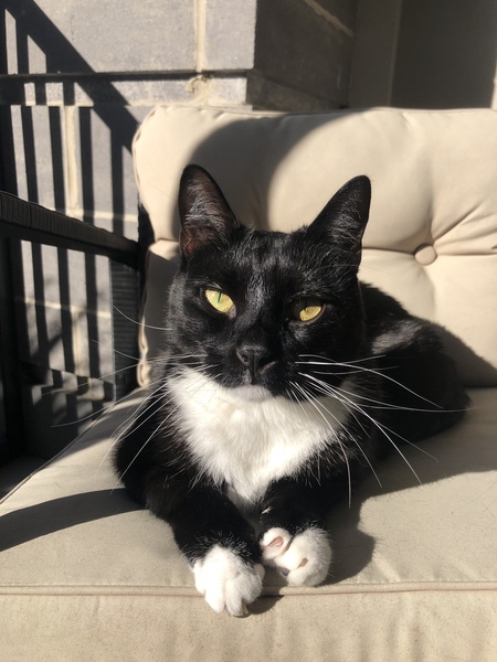 Entry image for Tucker. Clicking this image will show a larger photo