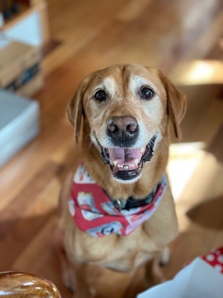 Entry image for Harrison (Harry). Clicking this image will show a larger photo