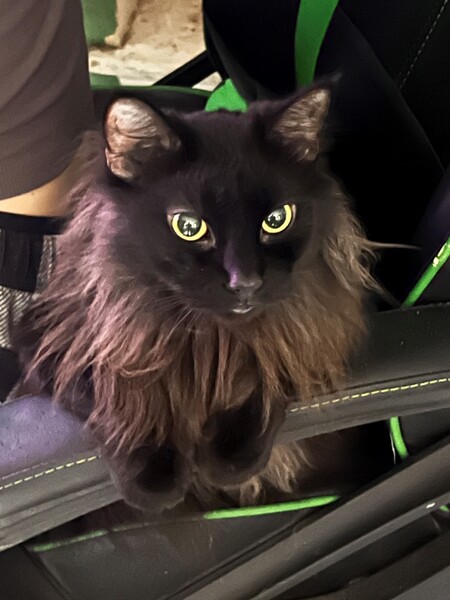 Entry image for Salem. Clicking this image will show a larger photo