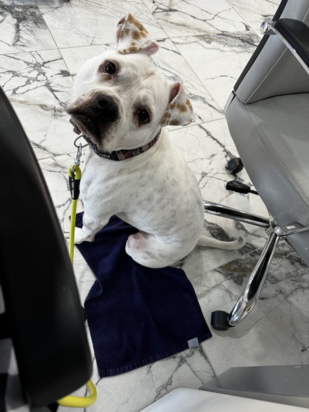 Entry image for Walter. Clicking this image will show a larger photo