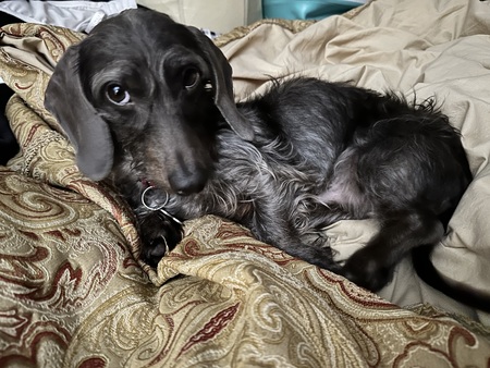 Entry image for Blue. Clicking this image will show a larger photo