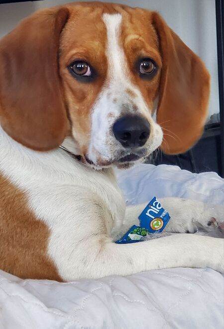 Entry image for Don. Clicking this image will show a larger photo