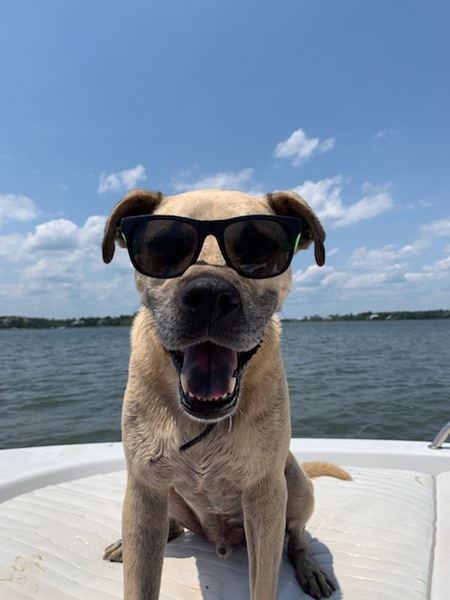 Entry image for Hank. Clicking this image will show a larger photo